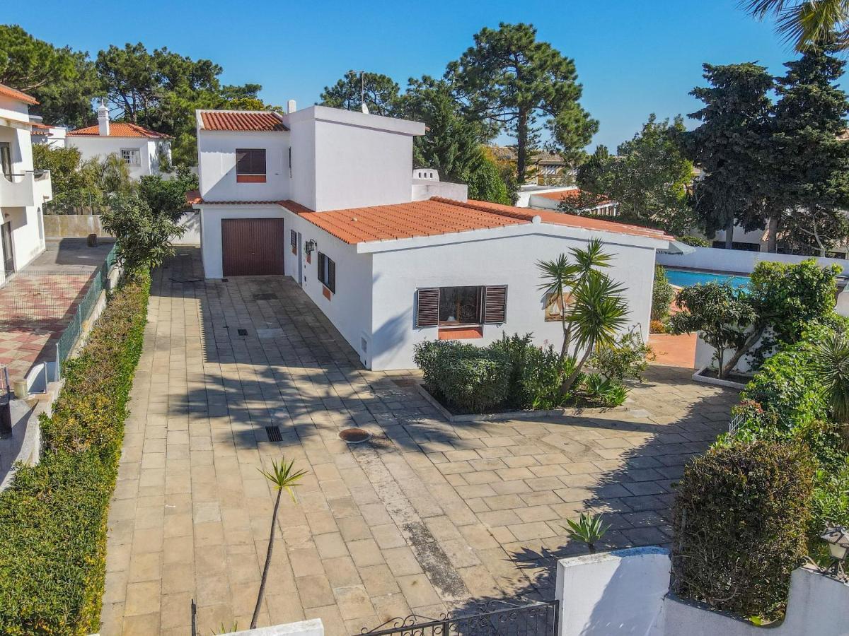 Standard Villa