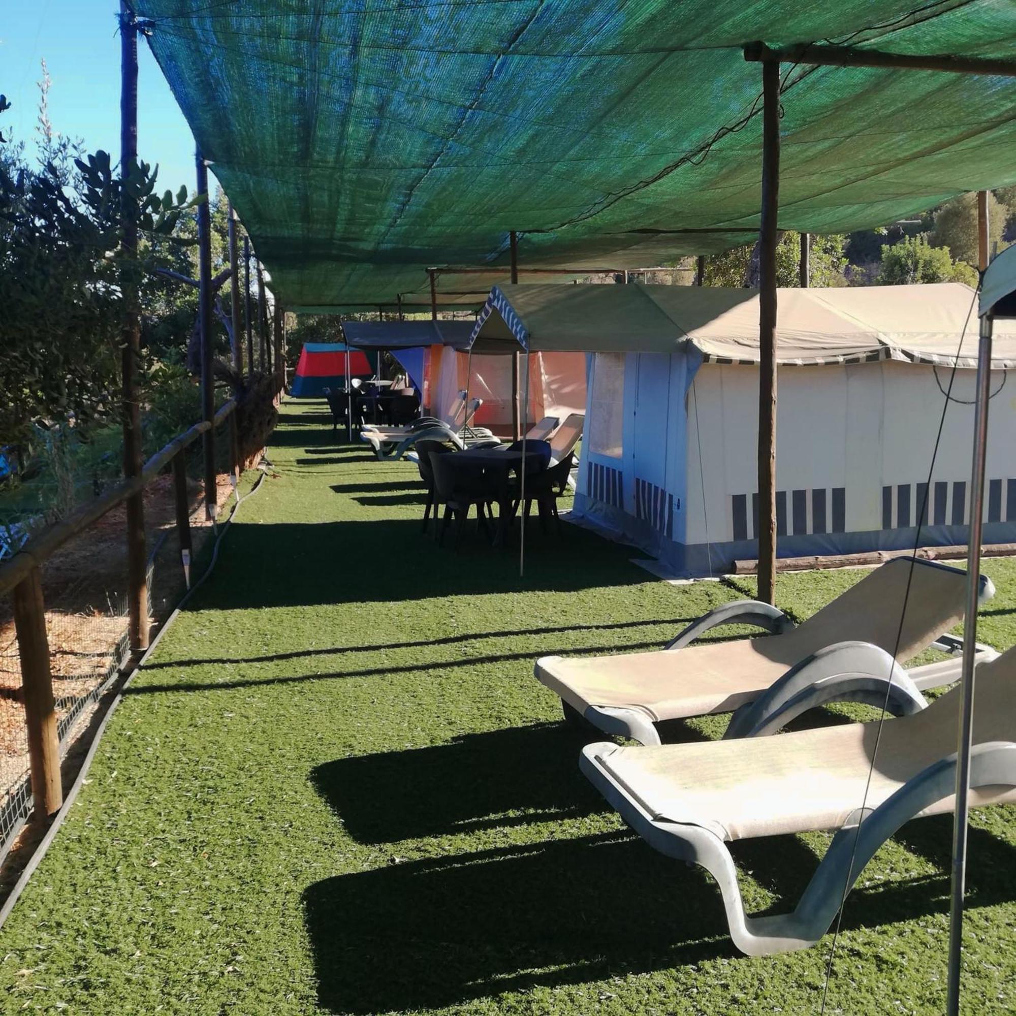 Tent