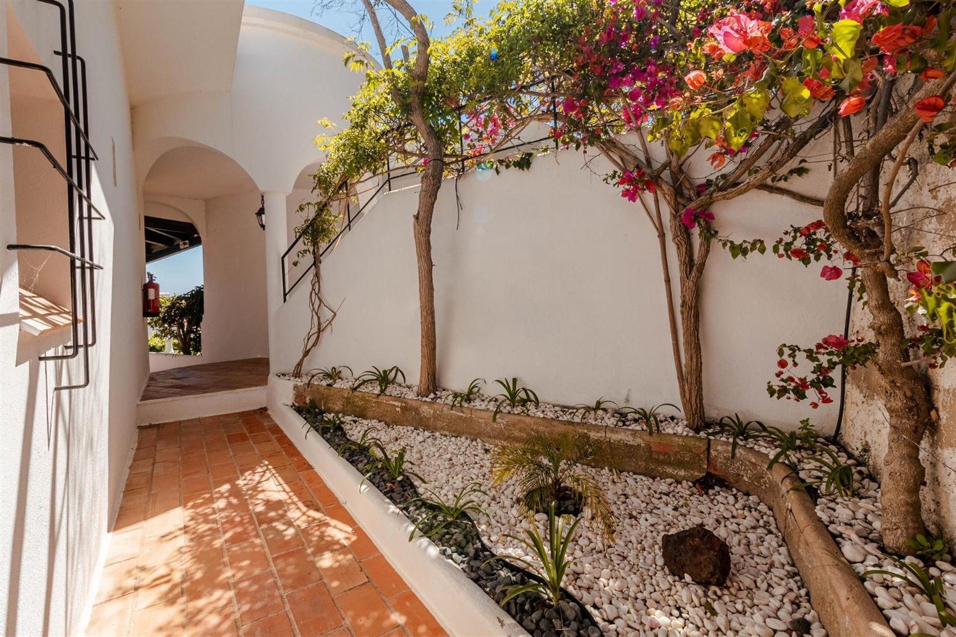Apartment Garden View