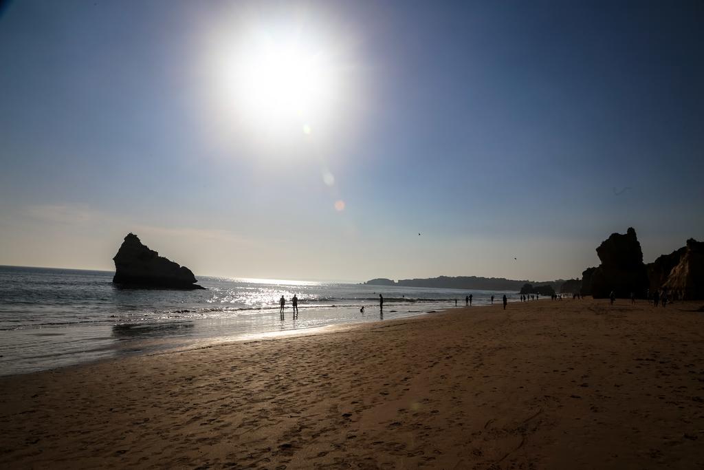 Three-Bedroom Apartment,169152693:JPEG