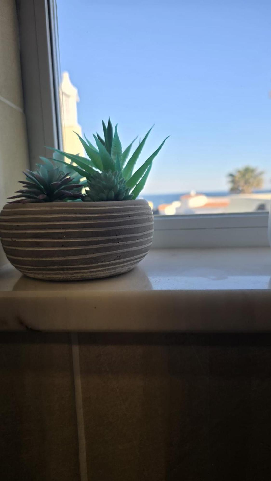 Studio Apartment Sea View
