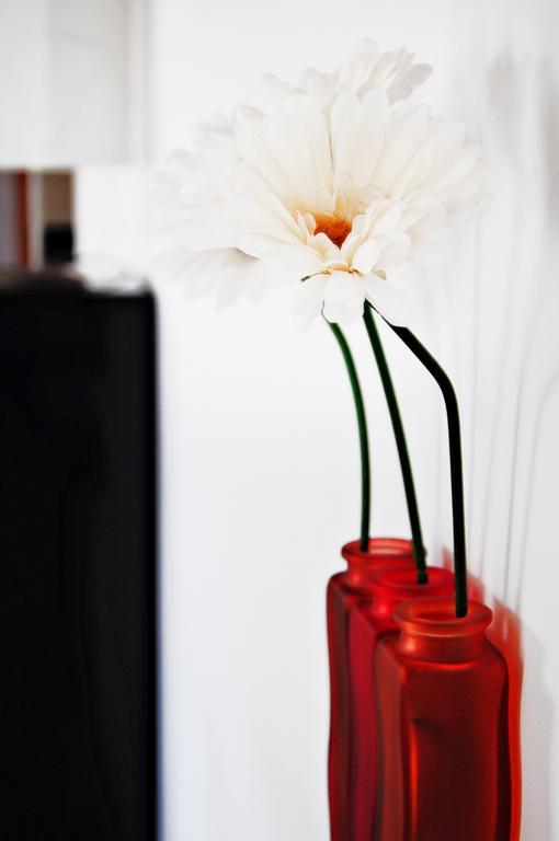 Superior Apartment,859443413:JPEG