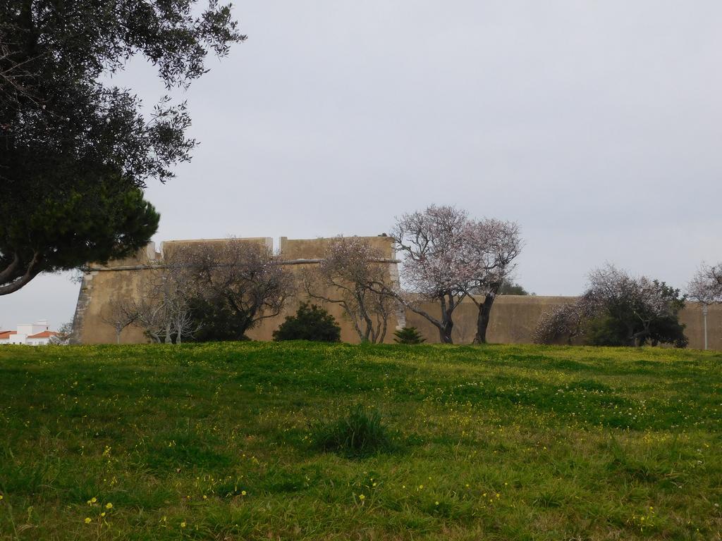 Apartment mit Gartenblick