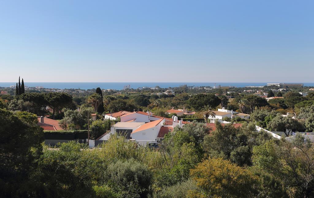 Double Room with Balcony and Sea View,1123174101:JPEG