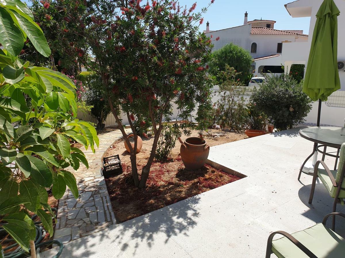Apartamento con vistas al jardín