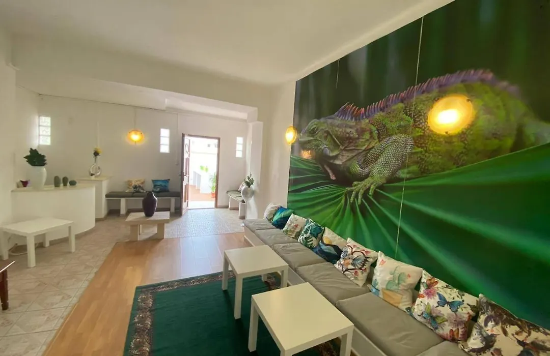 Iguana Guesthouse-1