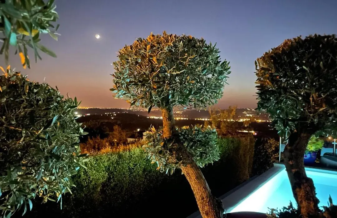 Casa Das Palmeiras-1