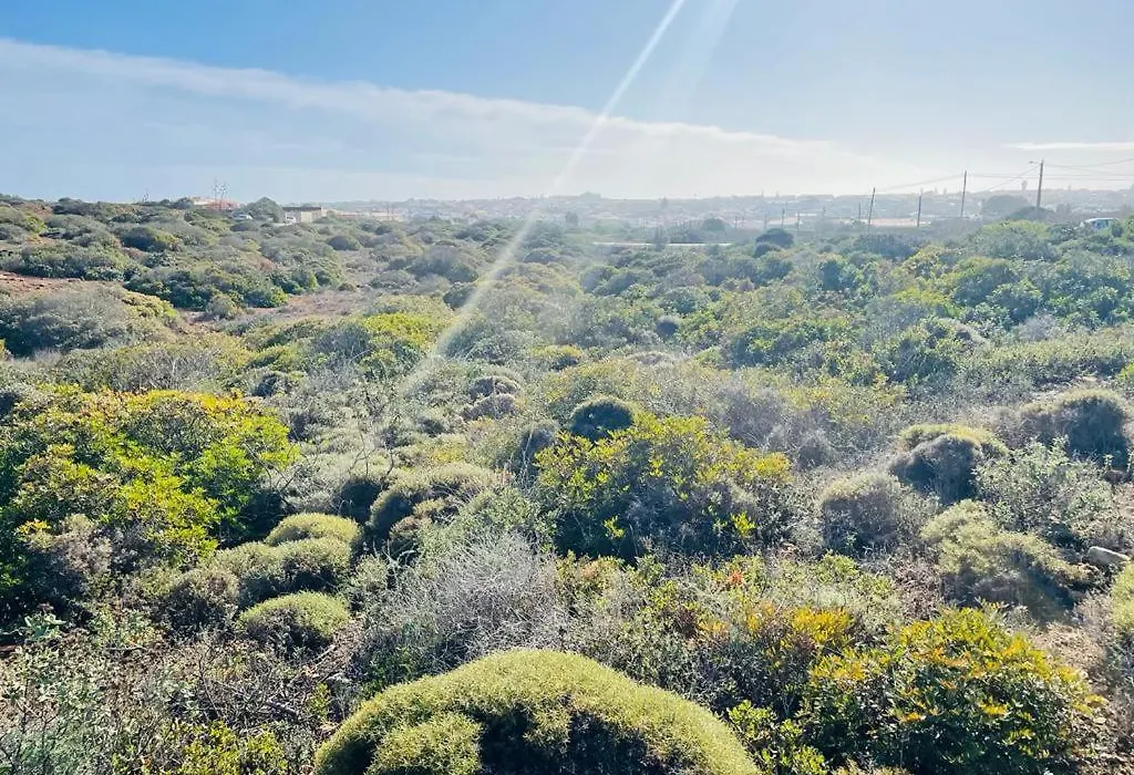 Feelgood Sagres Vegan Homestay-1