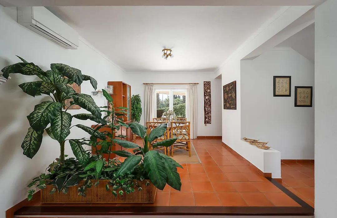 Villa Mateus-1