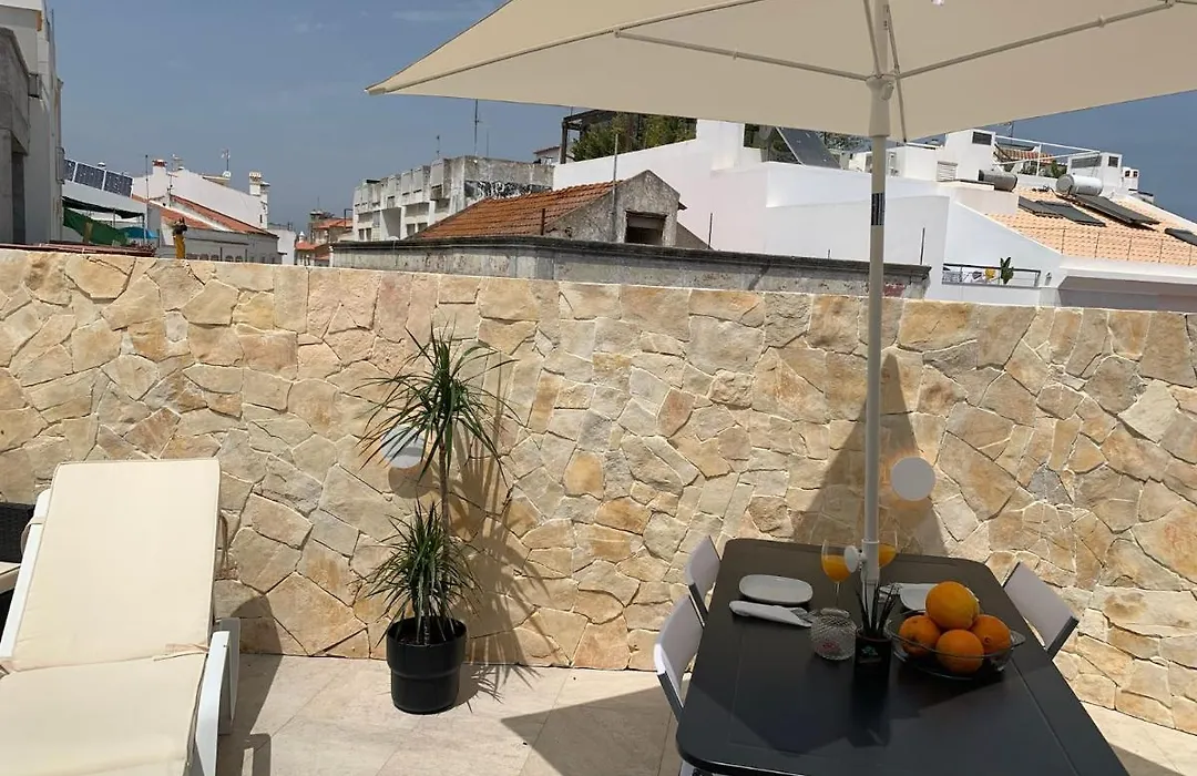 House With A Bbq Terrace In The Centre Of Lagos-1