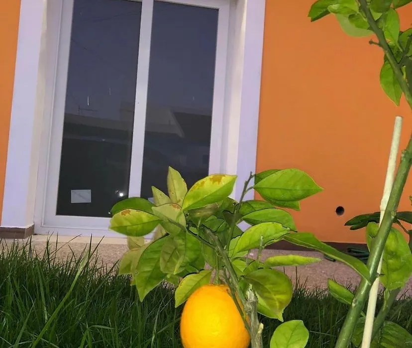 ORANGE guest house-1