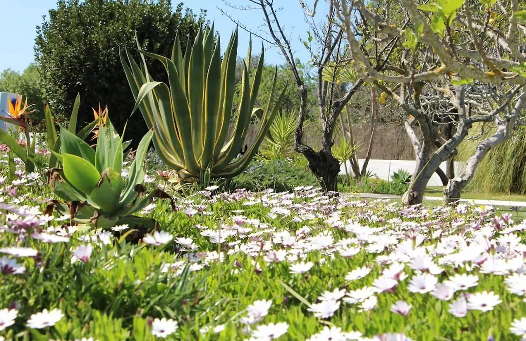 Casa Azul Beach And Peaceful Garden Oasis-1