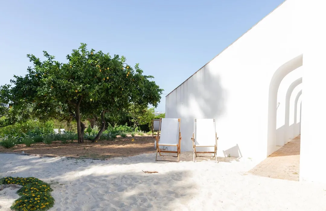 Casa Modesta-1