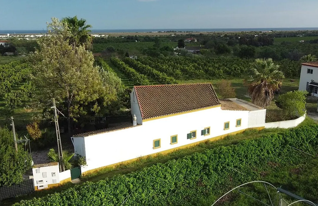 Quinta Rosa Branca-1