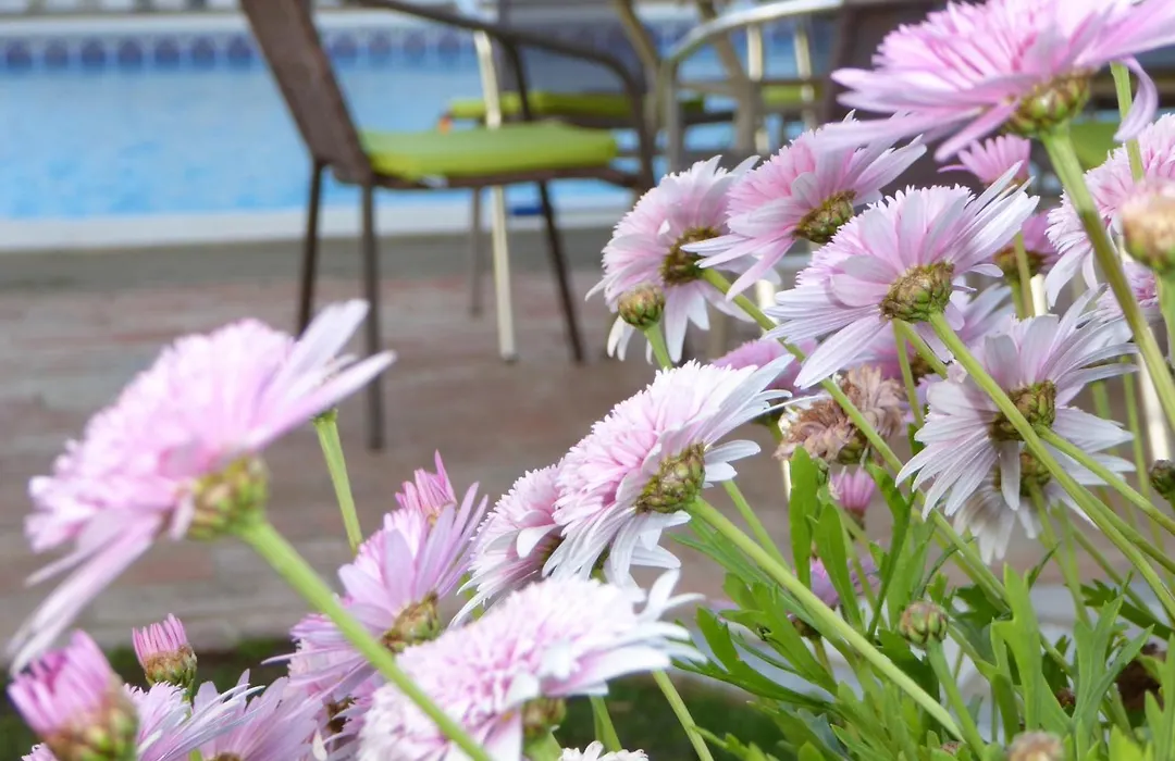 Vital - Private Pool - 8 Guests - Albufeira-1
