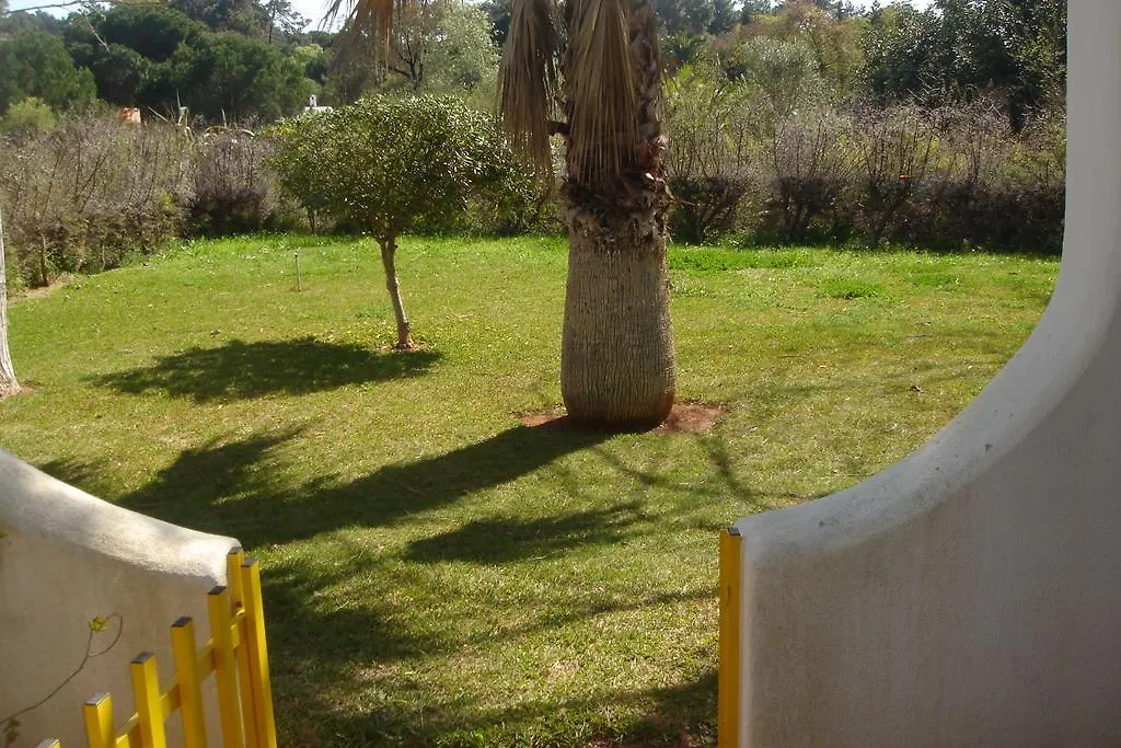 Orange Tree Villa-1