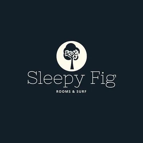 Sleepyfig-1