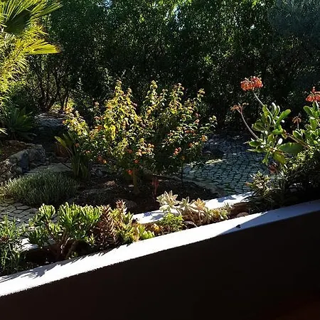 Casa Oliviera-2