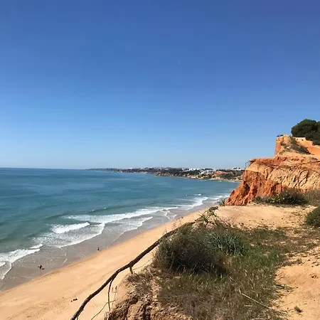 Jardins Do Golf, Val Do Lobo-2