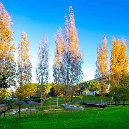 A21 - 1 Bed Apartment In Marinapark-2