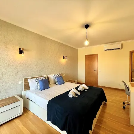 Faro Stylish 2 By Homing-3