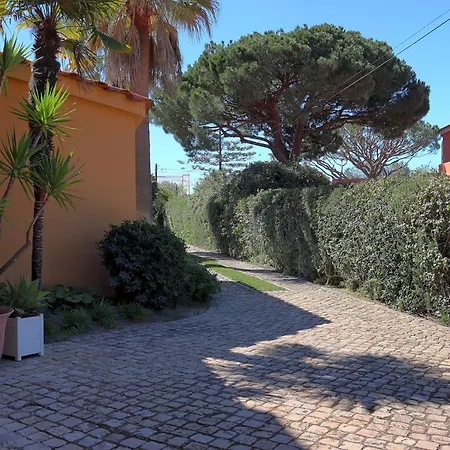 Casa Da Palmeira, Pool & Soccer Pitch-3