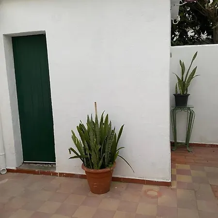 The Tiles House-2