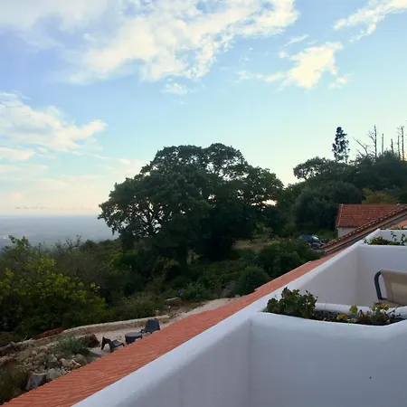 Montalma-2