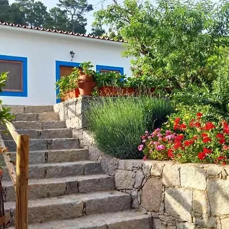 Quinta Da Idalina-2