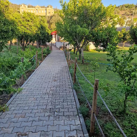 Ponte Romana-3