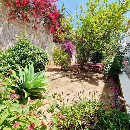 Villa Ninho Do Mocho-2
