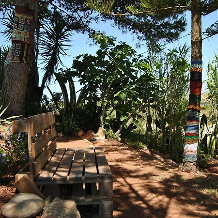Vivenda Familia Pedro-3