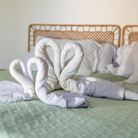Bela Alexandra Guest House-3