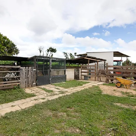 Casa Lavadeira - Vinhas De Nexe-2