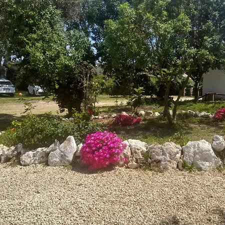 Nature Houses-2