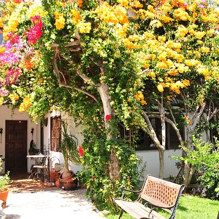 Uma Casa A Beira Sol-3