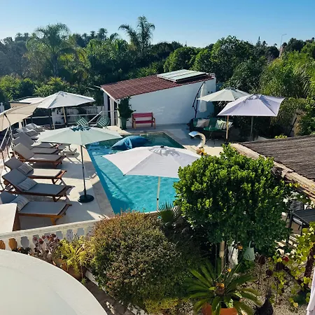 Palm View Guesthouse, Adults Only-2
