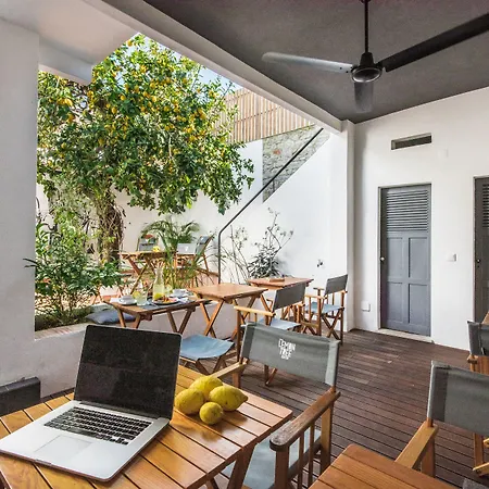 Lemon Tree Stay-2