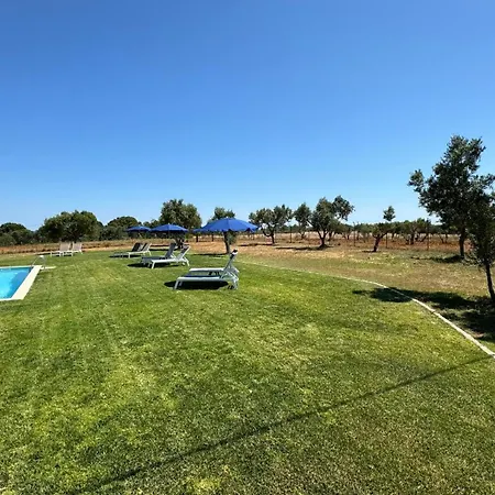 Vila Fuzeta Bed&Breakfast-2