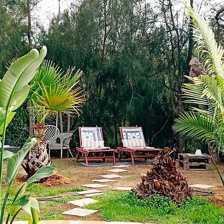 Boheme Valdareina, Piscine Chauffee, Benagil-Carvoeiro-2