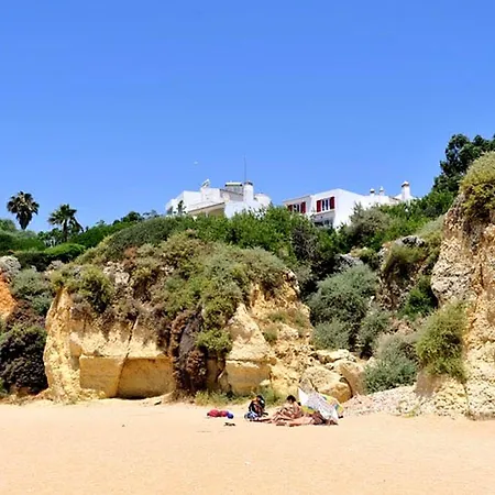 Beachfront Villa - Private Beach Access - Walk Everywhere Without Car - Pool & Jacuzzi-2