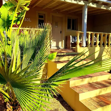Quinta Pereiro Tropic Garden, Algarve-3