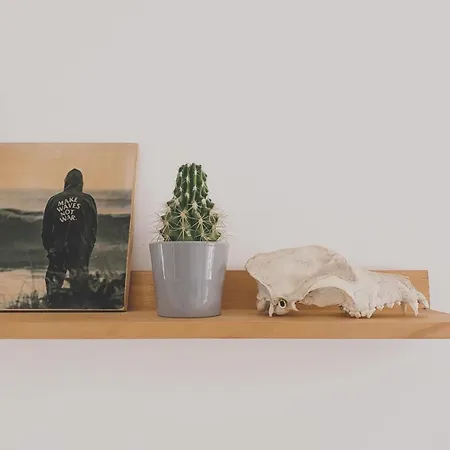 Casa Biota-2