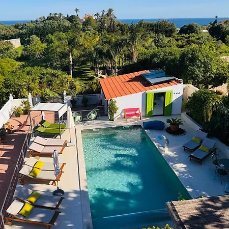 Palm View Guesthouse, Adults Only-3