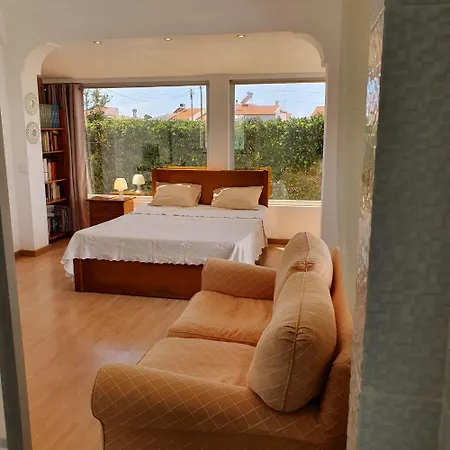 Seaside Studio In Sagres - 38 Sqm With Terrace And Garden-3
