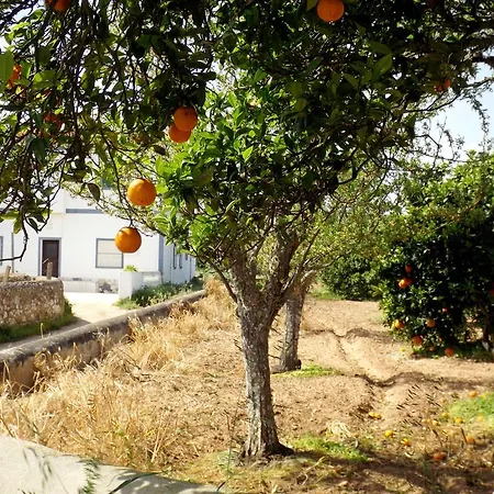 Casas Do Pomar-3