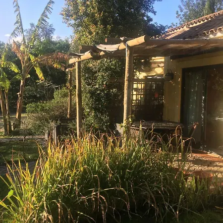 Quinta Da Sao Joao - Villa Oliveira-3