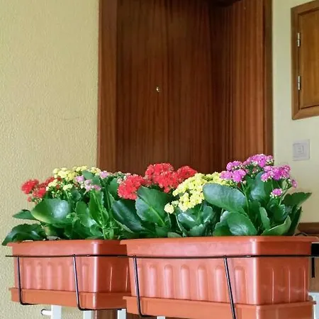 D.Ana Guesthouse-3