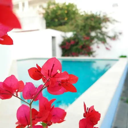 Vila Do Sol Guesthouse-2