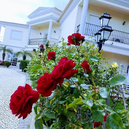 Villa Minerva-3